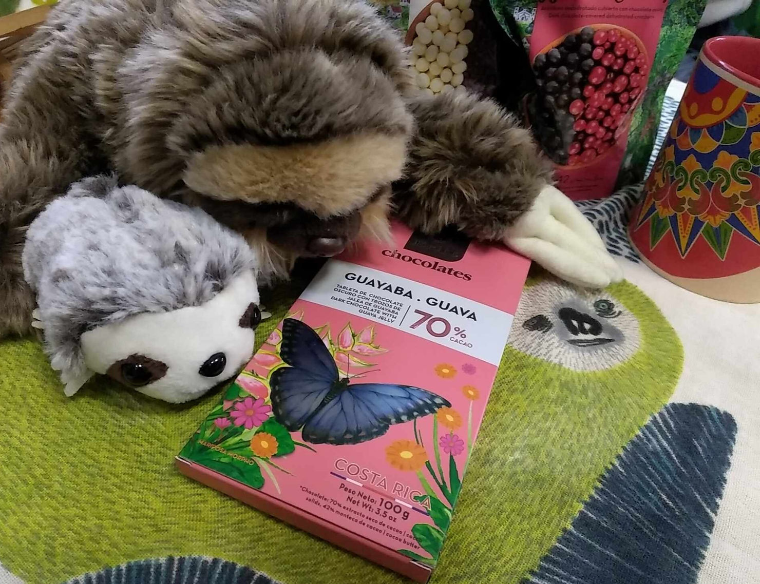 コスタリカチョコレート