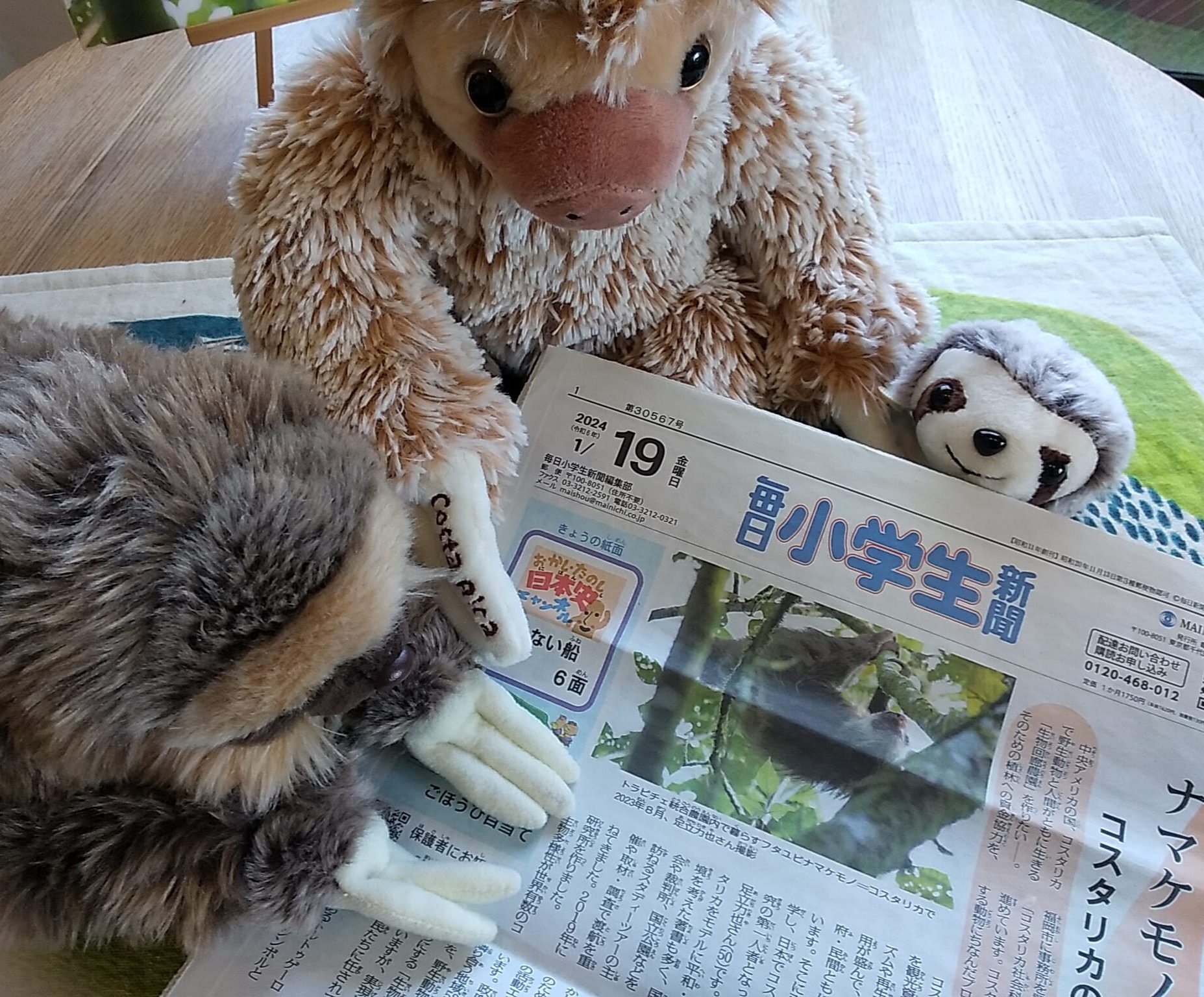 毎日小学生新聞