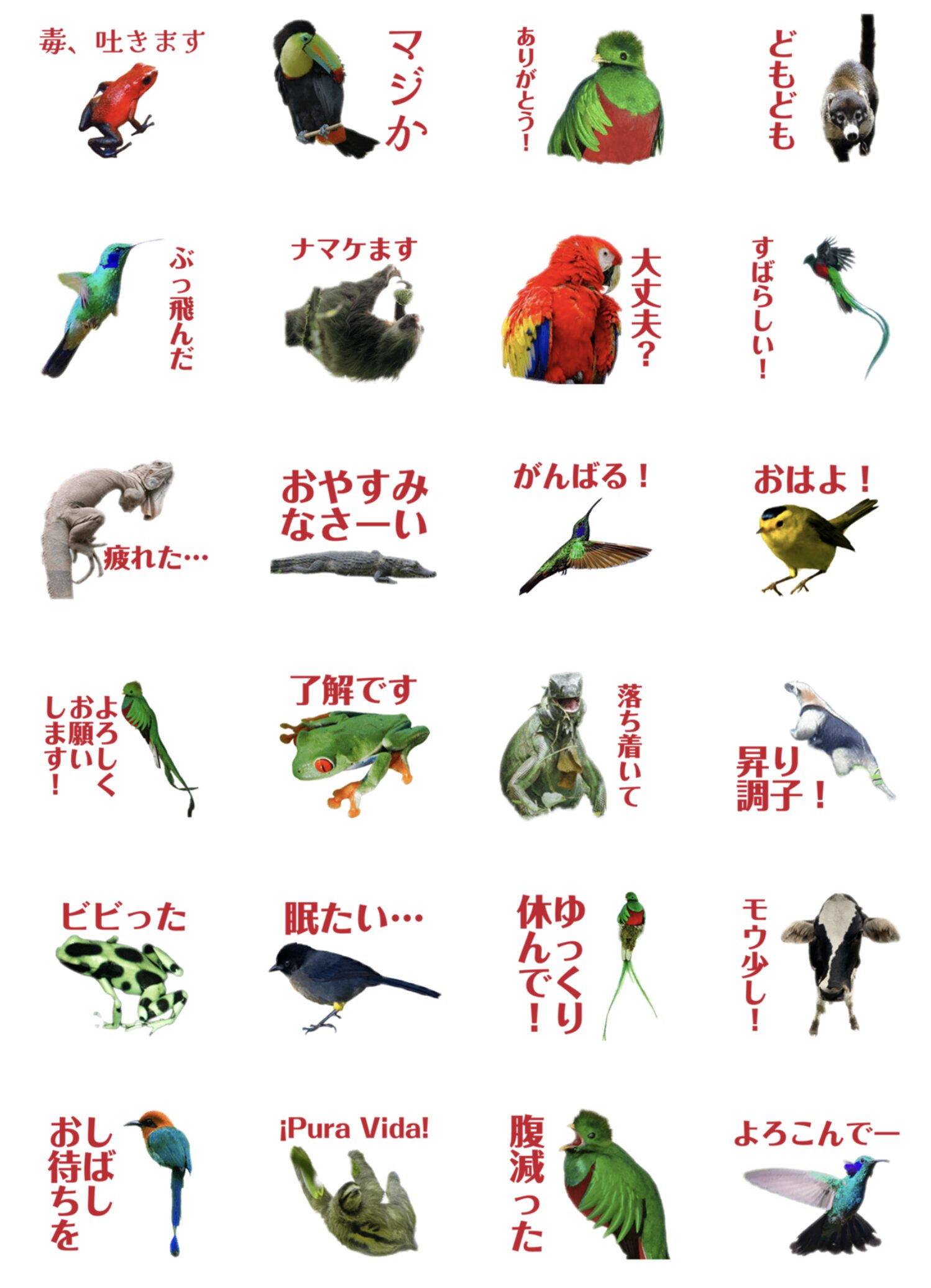 コスタリカ研究所 公式LINEスタンプ