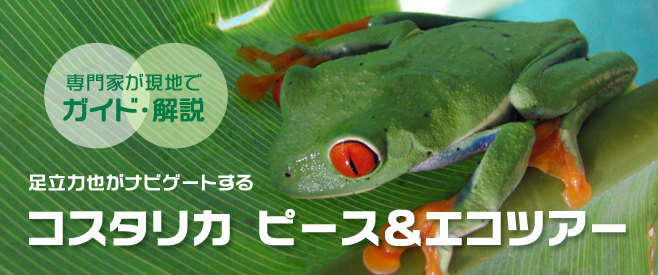 コスタリカ・ピース＆エコツアー