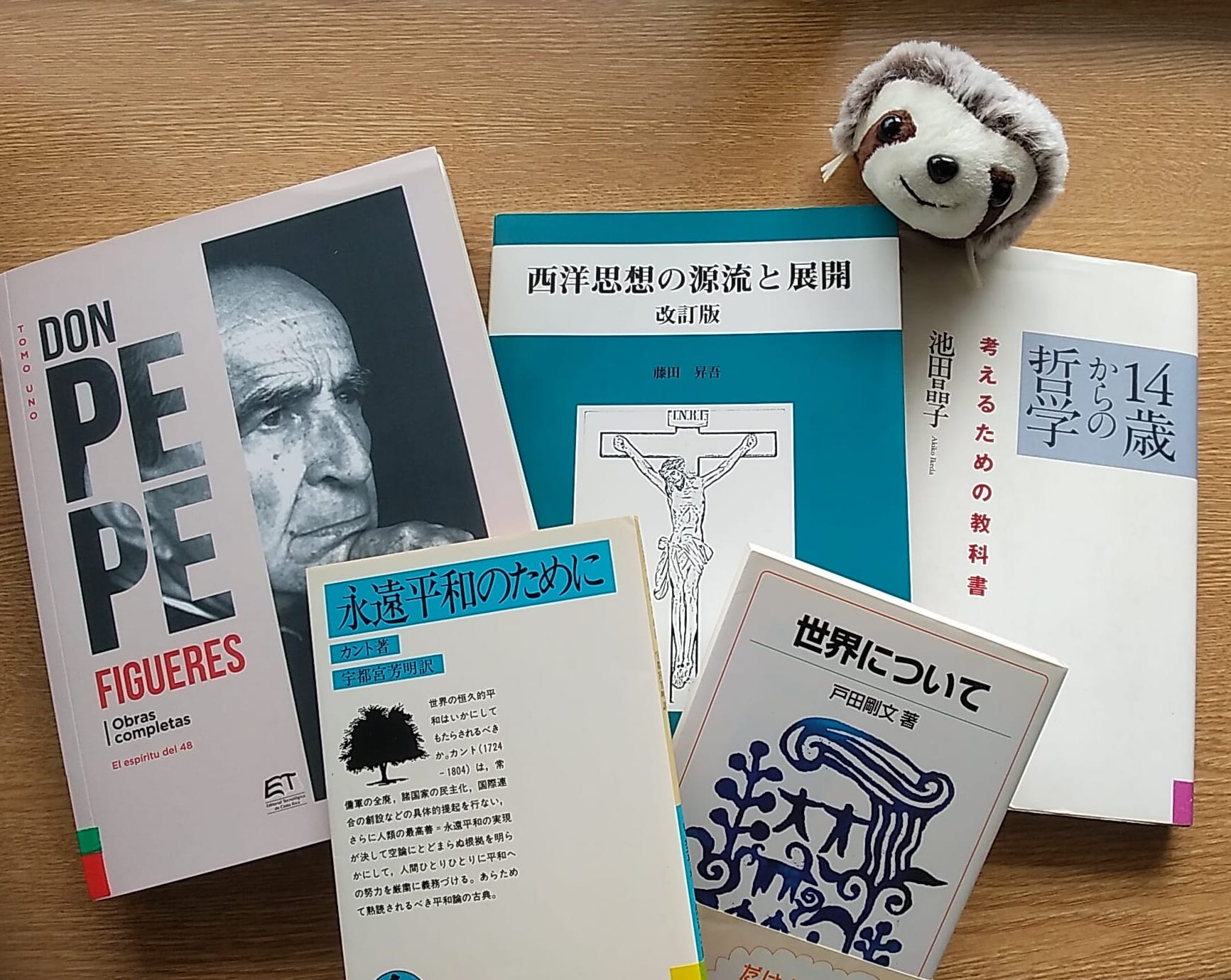 『扉をひらく哲学』（岩波ジュニア新書）