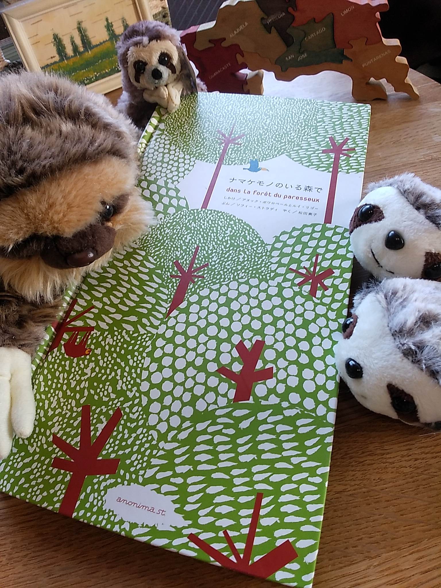 ナマケモノのいる森で 絵本