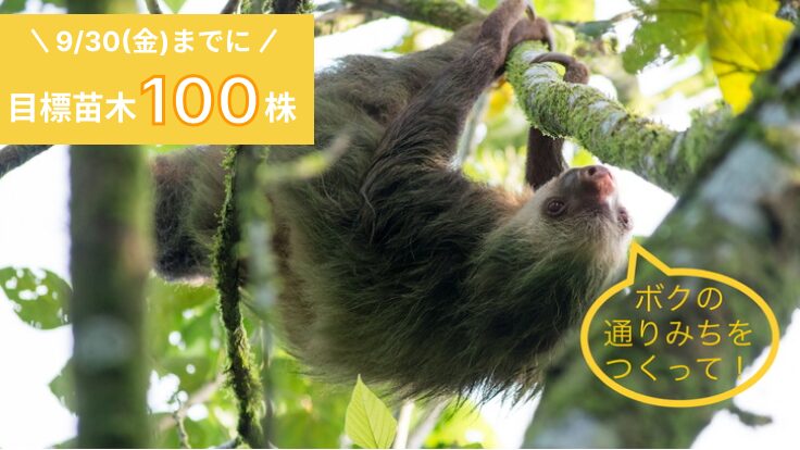 けもみちキャンペーン